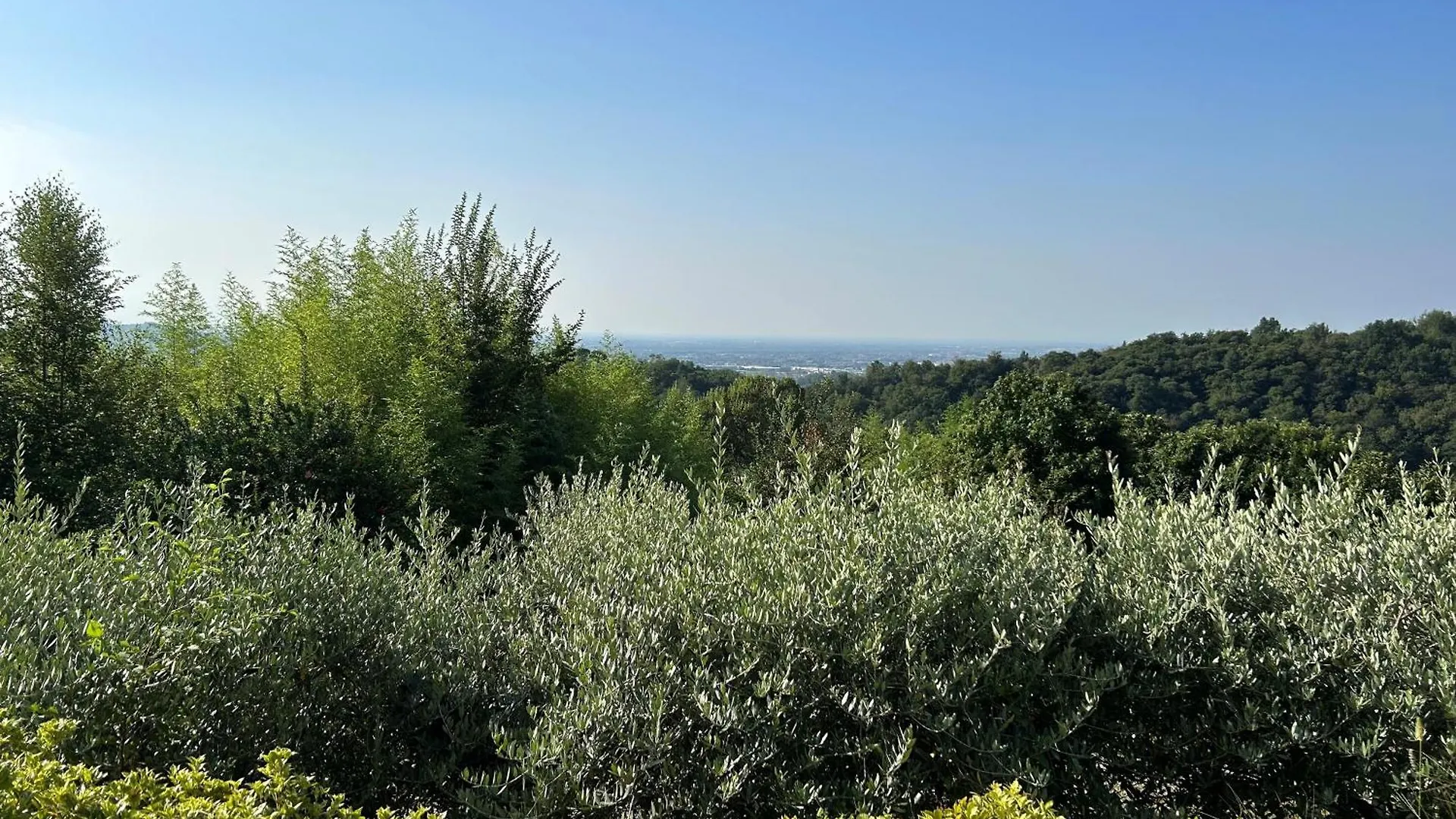 Bed & Breakfast B&B Alrobale Strozza